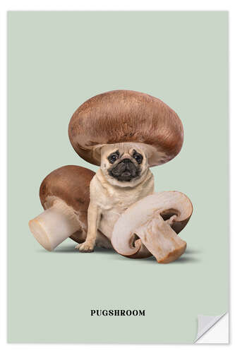 Selvklebende plakat Pugshroom