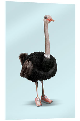 Stampa su vetro acrilico Sporty Ostrich