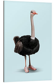 Tableau en aluminium Sporty Ostrich