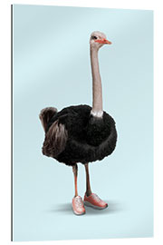 Gallery print Sporty Ostrich