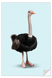 Wall sticker Sporty Ostrich