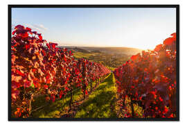 Gerahmter Kunstdruck Weinbau in Stuttgart