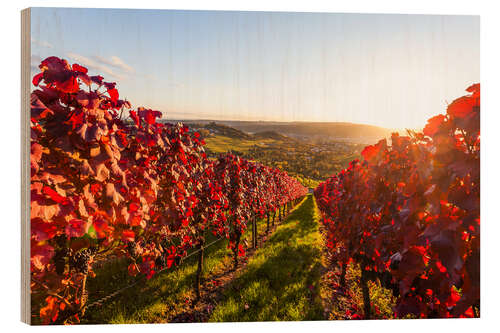 Wood print Viticulture in Stuttgart