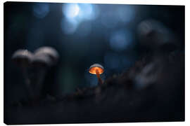 Canvastavla Small glowing mushroom