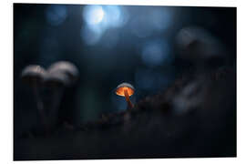 Foam board print Small glowing mushroom