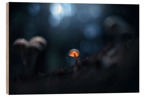 Hout print Small glowing mushroom