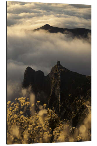 Alubild Nebelmeer über Madeira