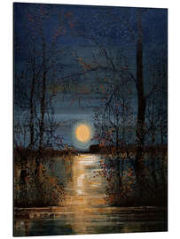 Tableau en aluminium Moon shines on the lake