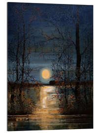 Tableau en plexi-alu Moon shines on the lake