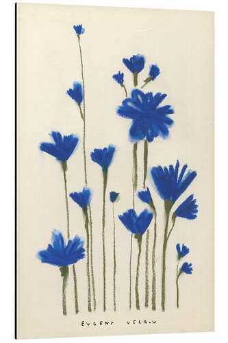 Aluminium print Blue spring flowers