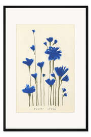 Gerahmter Kunstdruck Blaue Frühlingsblumen