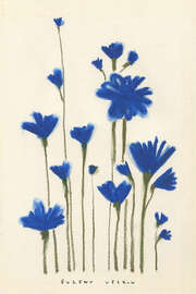 Magnettafel Blaue Frühlingsblumen - Evgeny Vetrov