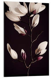 Gallery print Magnolia branch