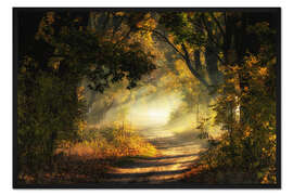 Gerahmter Kunstdruck Waldweg lichtdurchflutet