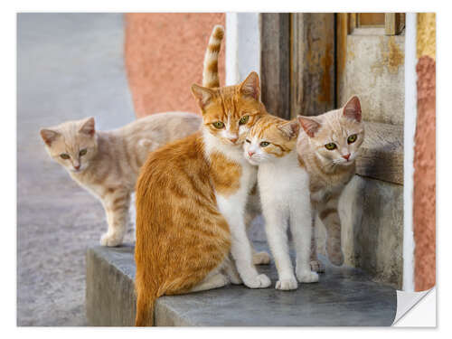 Självhäftande poster Cute cat family