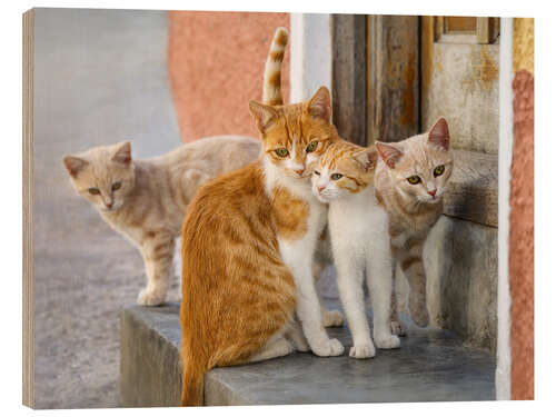 Wood print Cute cat family