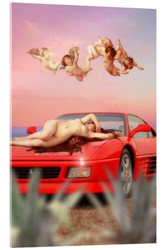 Cuadro de metacrilato The Rebirth of Venus