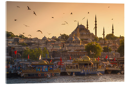 Acrylglasbild Sonnenuntergang mit Vögeln in Istanbul, Türkei