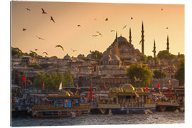 Gallery print Sunset with birds in Istanbul, Turkey