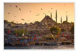 Poster  Sunset with birds in Istanbul, Turkey - Matteo Colombo