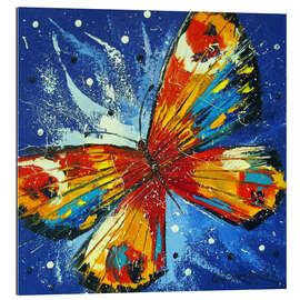 Tableau en plexi-alu Papillon sur bleu