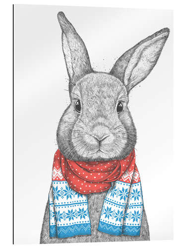 Quadro em plexi-alumínio Bunny with a Christmas scarf