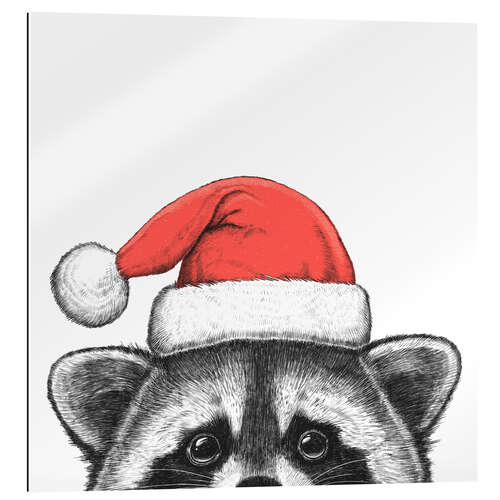 Quadro em plexi-alumínio Raccoon in a Santa hat