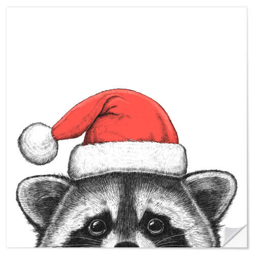 Naklejka na ścianę Raccoon in a Santa hat