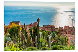 Foam board print Looking northwest from Eze near Nice