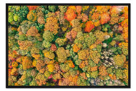 Gerahmter Kunstdruck Herbstlicher Wald von oben
