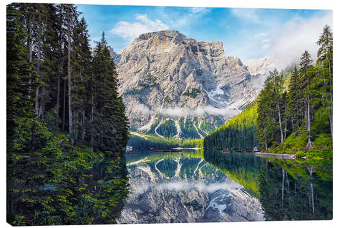 Tableau sur toile Fir trees at the beautiful Pragser Wildsee