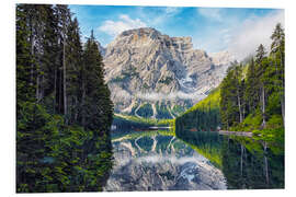 PVC-tavla Fir trees at the beautiful Pragser Wildsee