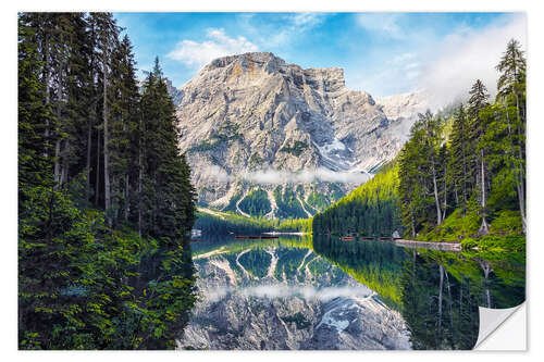 Sticker mural Fir trees at the beautiful Pragser Wildsee