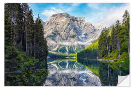 Selvklebende plakat Fir trees at the beautiful Pragser Wildsee