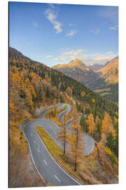 Cuadro de aluminio Maloja Pass in autumn, Switzerland