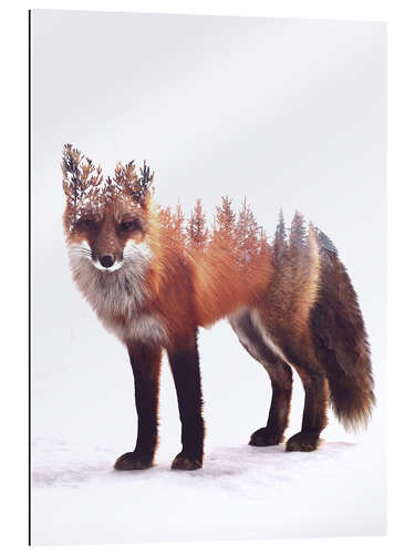 Gallery print Forest Fox