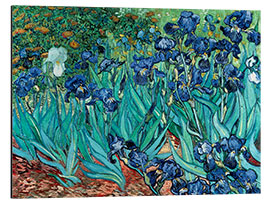 Aluminium print  Irises, 1889 - Vincent van Gogh