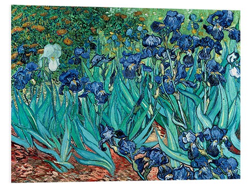 Stampa su PVC Irises, 1889