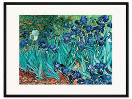 Gerahmter Kunstdruck Schwertlilien, 1889