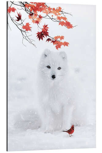 Aluminiumtavla White Fox and Red Cardinal in Winter