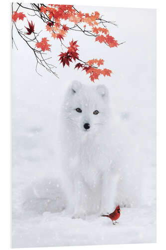 Hartschaumbild Weißer Fuchs und roter Kardinal im Winter