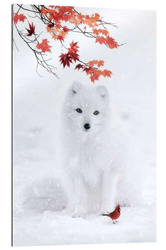 Galleriprint White Fox and Red Cardinal in Winter