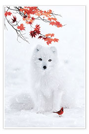Poster Weißer Fuchs und roter Kardinal im Winter