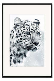 Gerahmter Kunstdruck Weißer Schneeleopard im Porträt