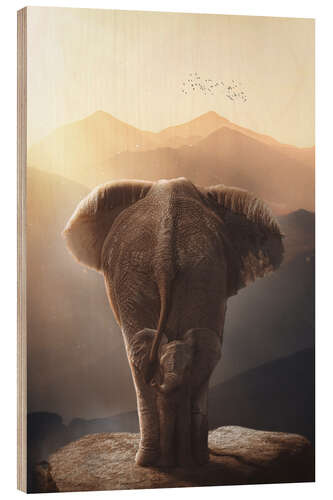 Quadro de madeira Baby Elephant with his Mother
