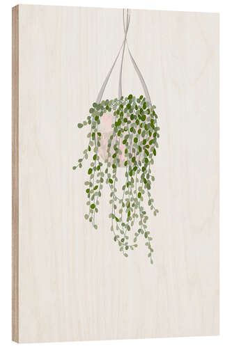Quadro de madeira String of Pearls House Plant