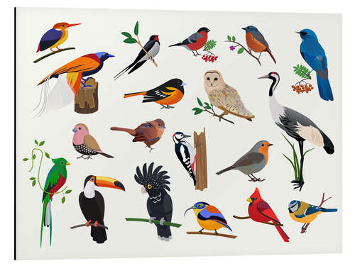 Aluminium print Colourful Birds II