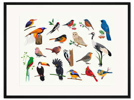 Gerahmter Kunstdruck Bunte Vögel II