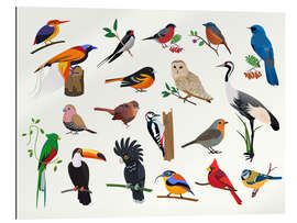 Gallery print Colourful Birds II