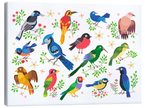 Canvas print Colourful Birds I